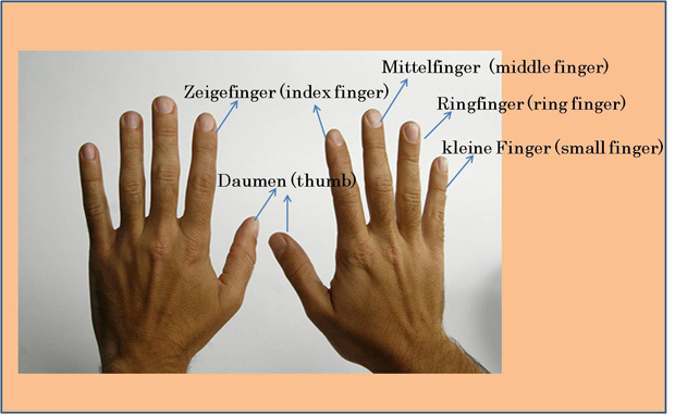 Zeigefinger und kleiner finger
