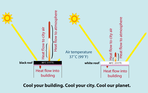 Black roof vs. white roof