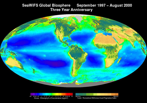 Seawifs biosphere