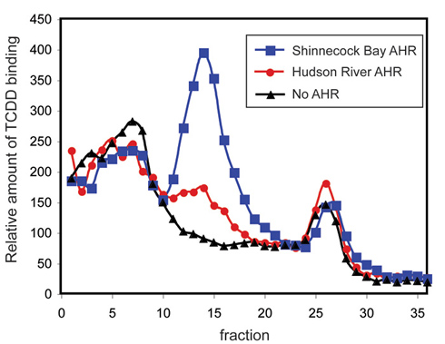 ahr2_proteins_from_hudson_river_tomcod