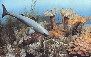 Ocean in Devonian times