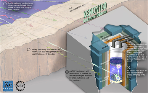 Xenon100 Dark Matter Detector