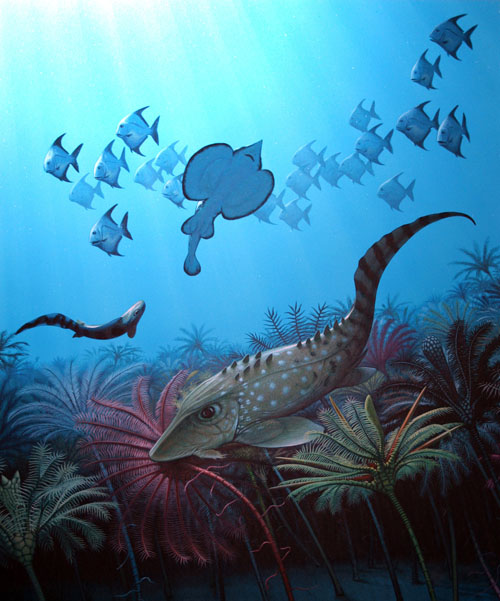 Shallow marine ecosystem during the early Carboniferous Period