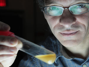 Michael Travisano is senior author of the study of how multicellularity arose.