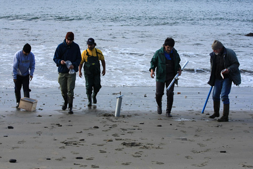 The sampling team at work conducting beach surveys after the quake.