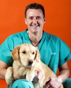 James Cook is a researcher from the MU College of Veterinary Medicine and the William C. and Kathryn E. Allen Distinguished Professor in Orthopaedic Surgery.