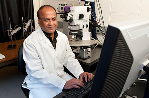 Ulhas Naik, UD professor of biological sciences and director of the Delaware Cardiovascular Research Center.