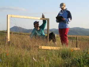 Western Washington University biology professor David Hooper and graduate student Leslie Gonzalez measure plant diversity and productivity in experimental grassland plots in California.