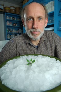 Michael Thomashow, University Distinguished Professor of molecular genetics, studies how plants adapt to freezing and drought.
