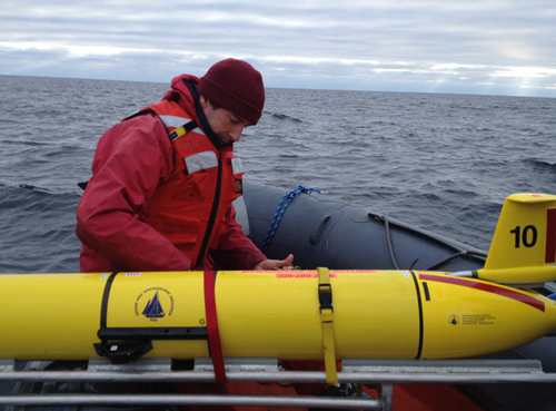 Chief scientist Mark Baumgartner secures a glider (with its wings removed) after it was recovered Dec. 4 from its three-week mission. The gliders are equipped with an underwater microphone and an iridium satellite antenna. The vehicle surfaces every few hours to get a GPS position and transmit data to shore-side computers. (Photo by Nadine Lysiak, Woods Hole Oceanographic Institution)
