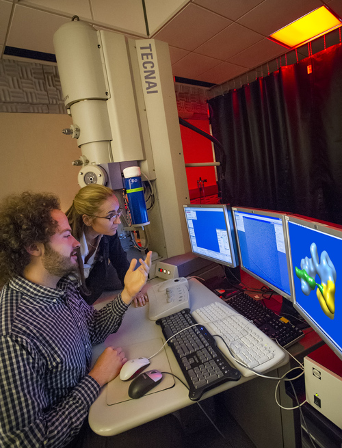 Michael Cianfrocco and Eva Nogales used single-particle cryo-electron microscopy to learn how the TFIID transcription factor helps regulate of gene expression, a process critical to the growth, development, health and survival of all organisms. (Photo by Roy Kaltschmidt)