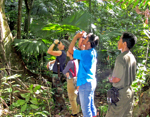 Randall Kyes (left, in black shirt) and local university students observing Sulawesi black macaques during an annual field training program in Tangkoko Nature Reserve. Image credit: Randally Kyes, UW