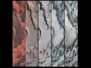 The High Resolution Imaging Science Experiment (HiRISE) camera on NASA's Mars Reconnaissance Orbiter snapped this series of pictures of sand dunes in the north polar region of Mars. The area covered in each of the five panels is about 0.8 mile (1.3 kilometers) wide. Image Credit: NASA/JPL-Caltech/Univ. of Arizona (Click image to enlarge)