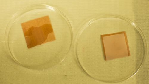 An uncoated tile of screen is wetted by liquids, but a treated piece remains dry. University of Michigan researchers have developed a "superomniphobic" surface that can repel virtually any liquid. Image credit: Joseph Xu
