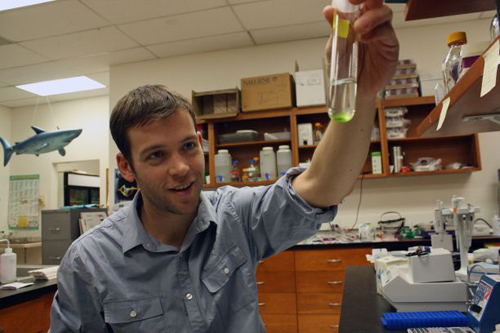 William Driscoll with a vial of algae (not the cheating kind) in the lab. (Photo by: Beatriz Verdugo/UANews)