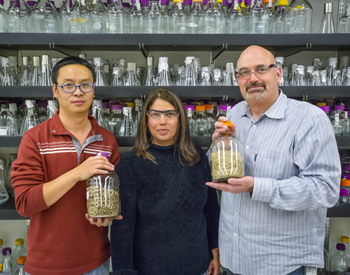 (From left) JBEI’s Jian Shi, Seema Singh and Blake Simmons successfully used an ionic liquid to pre-treat mixed blends of biofuel feedstocks, a key to future commercialization. (Photo by Roy Kaltschmidt)