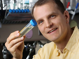 Burckhard Seelig led a team that evolved a novel enzyme in a test tube. Image credit: University of Minnesota