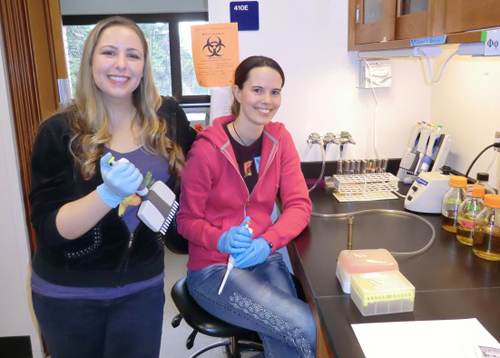 UW researchers Haley Lindsey and Jenna Gallie at work in the Benjamin Kerr laboratory. Image credit: U of Washington