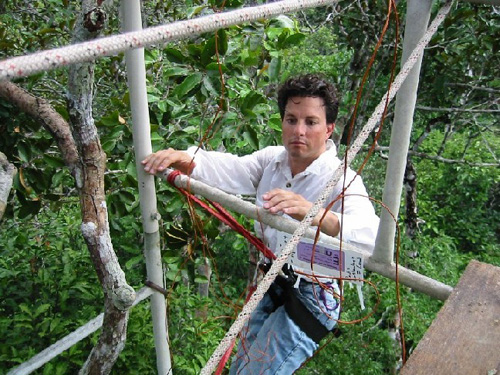 Berkeley Lab scientist Jeffrey Chambers in the Amazon forest instrumenting the upper canopy from a 30-meter tower with micro-meteorological sensors. (Photos courtesy Jeffrey Chambers)