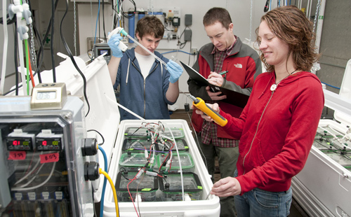 UW researchers Matt George, Michael O’Donnell and Rebecca Guenther measure water chemistry during an experiment exposing mussels to varying sets of conditions at the University of Washington’s Friday Harbor Laboratories. Image credit: K Ballard/Friday Harbor Laboratories/UW