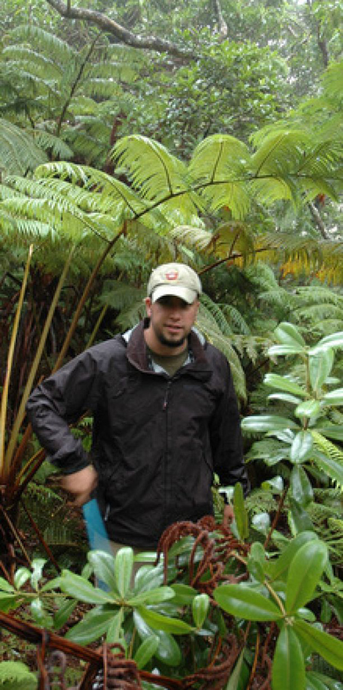 Richard Lapoint, a PERT postdoctoral researcher in the UA's department of ecology and evolutionary biology, combed the Hawaiian rainforest of Olaa looking for elusive fern-eating flies. (Photo by: Patrick O'Grady)