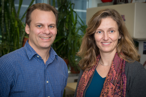 Robert Britton, associate professor in the Department of Microbiology and Molecular Genetics, and Laura McCabe, professor in the departments of Physiology and Radiology. Photo by G.L. Kohuth.