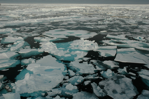 Seasonal ice on the Chuchki Sea, a marginal sea off the Arctic Ocean, in July 2010. Image credit: Bonnie Light, UW