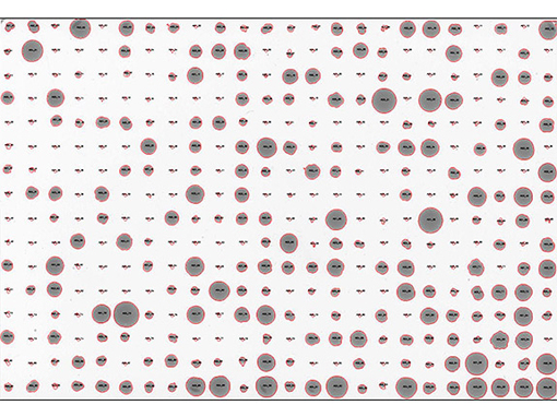 The researchers placed the more than 1,000 single-cell yeast offspring in a grid pattern on plates such as this one, and subjected each plate to a different condition, including different temperatures, food sources and presence of various drugs. Offspring thrived (large dots) or did not thrive (small dots) depending on their genetic make-up. Researchers examined the yeast to find out how much of their ability to survive was inherited from their parents. (Image courtesy of Joshua Bloom, Kruglyak Lab)