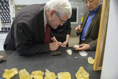A self-proclaimed amateur paleontologist, Newt Gingrich toured the lab of Zhe-Xi Luo, professor in Organismal Biology and Anatomy and the College. Photo by Robert Kozloff