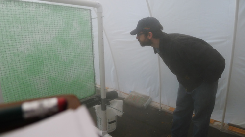 In tests on campus this month, faculty member Ben Spencer checks the water condensing and dripping down matting material used in landscapes to control soil erosion. The group is evaluating inexpensive, readily available materials for fog harvesting. Image credit: P Cromwell/U of Washington