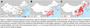 Bird flu and human flu in China. Image credit: University of California (Click image to enlarge)