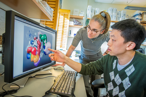 Eva Nogales and Yuan He used cryo-electron microscopy to record how a complex of biomolecules is able to read the human genome one gene at a time. (Photo by Roy Kaltschmidt)