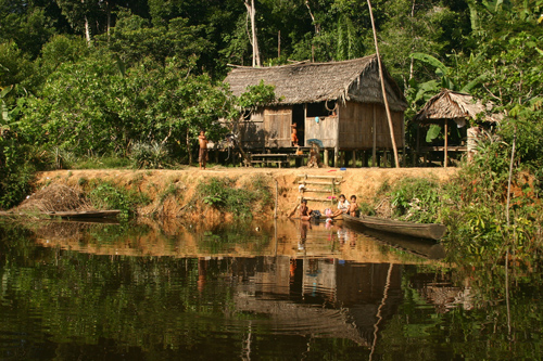 A forest-dependent household in the Brazilian Amazon. Image credit: Pete Newton