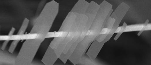 The "shish-kebab" consists of two-dimensional nanosheets strung along a nanowire. Image credit: North Carolina State University