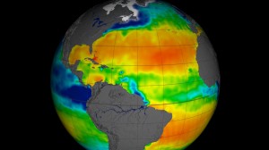 NASA has released the first full year of validated ocean surface salinity data from the agency's Aquarius instrument aboard the Aquarius/SAC-D spacecraft. The data cover the period from Dec. 2011 through Dec. 2012. Red colors represent areas of high salinity, while blue shades represent areas of low salinity. Among the prominent salinity features visible in this view are the large area of highly saline water across the North Atlantic. This area, the saltiest anywhere in the open ocean, is analogous to deserts on land, where little rainfall and much evaporation occur. Aquarius is a focused effort to measure ocean surface salinity and will provide the global view of salinity variability needed for climate studies. The mission is a collaboration between NASA and the Space Agency of Argentina (Comisión Nacional de Actividades Espaciales). Image credit: NASA/GSFC/JPL-Caltech  (Click image to enlarge)