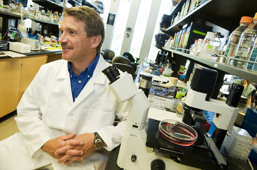 Dr. Charles Murry in his heart muscle cell research lab. Image credit: University of Washington
