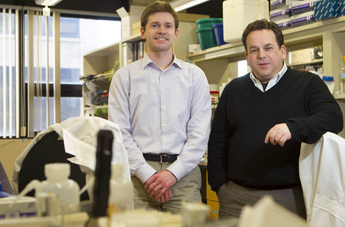 Implicated in rare forms of autism, two genes may have wider role. Matthew Schewede, left, and Eric Morrow learned the value of studying rare forms of autism. Research is done not only for the patients who have rare conditions, but also because doing so can inform research about other forms of autism. Image credit: Brown University