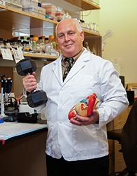 Dr. Michael Regnier holds a model of a heart in one hand, and a hand weight in another. Image credit: University of Washington