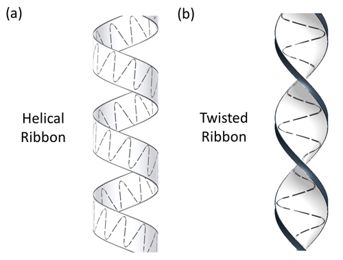 Ozcan-Chiral Ribbon Types. Sperm have been observed swimming in two ribbon patterns, one a helical ribbon like the stripe around a barber's pole, the other a twisted ribbon pattern like that of a corkscrew. (Image courtesy of UCLA Engineering and Scientific Reports) 