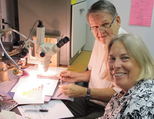 Wayne Wesolowski and Nancy Odegaard examining paint flakes. (Image credit: Arizona State Museum)