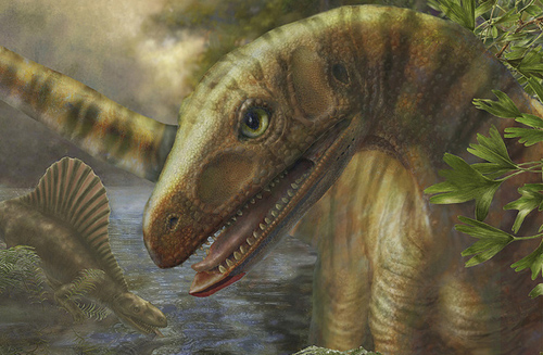 After the ancient extinction, some animals, like Asilisaurus, had more restricted ranges. Image credit: Marlene Donnelly/Field Museum of Natural History