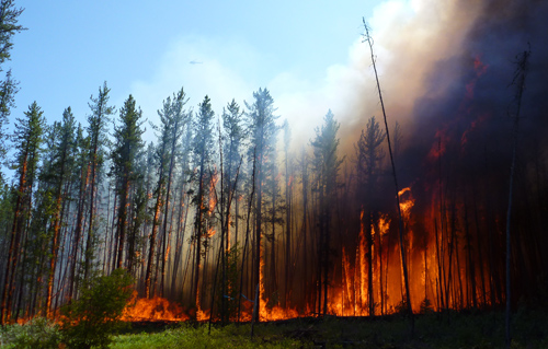 Alaska forest fire near NSF's Bonanza Creek LTER site; fires leave charcoal, or black carbon. Image credit: Stefan Doerr, Swansea University