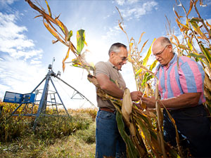 Farmer John Dosdall, right, and Crop Consultant Paul Groneberg. Crop farmers learn about the latest University research from ag pros trained by Extension. Image credit: University of Minnesota 