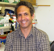 Dr. Michael Teitell, professor of pathology and pediatrics. Image courtesy of UCLA