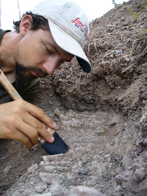 Paleontologist Christian Sidor excavates a fossil in Tanzania. Image credit: Linda Tsuji