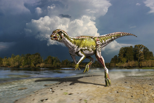 Figure 1. Life reconstruction of the new small-bodied, plant eating dinosaur Albertadromeus syntarsus. Art by Julius T. Csotonyi.