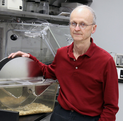 Frank Booth is a professor in the MU College of Veterinary Medicine and the MU School of Medicine. Booth, an expert on the effects of a sedentary lifestyle, stands with an exercise wheel in his lab.