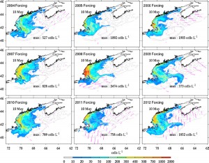 These computer simulation snapshots show projected Alexandrium fundyense cell concentrations produced under nine different weather and oceanographic scenarios representative of 2004 through 2012. All simulations were initiated using the latest cyst map based on data collected in fall 2012. The simulations incorporate sunlight, river runoff, and various wind and current patterns to predict the intensity and location of a bloom. These images do not show the highest anticipated cell concentrations, but rather the concentrations and distributions on the same day in May. This approach provides an ensemble forecast that includes years that had highly variable meteorological conditions. In all scenarios, the Alexandrium cell concentrations are moderate relative to past bloom simulations using different cyst maps to initiate the runs. (Figure by Dennis McGillicuddy, Woods Hole Oceanographic Institution; Ruoying He, North Carolina State University) (Click image to enlarge)