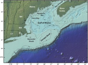 An elevated area of the sea floor between Cape Cod and Nova Scotia, Georges Bank is one of the best fishing grounds on Earth. For decades scientists speculated the blooms on Georges Bank were fueled by coastal blooms in the Gulf of Maine, but new research suggests the population of toxin-producing algae on Georges Bank occupies a distinct niche. Illustration by Jack Cook, Woods Hole Oceanographic Institution (Click image to enlarge)