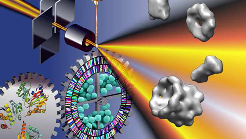 Small angle scattering (SAS) with X-rays (pictured here) or neutrons is the only imaging technique that provides a complete snapshot of the thermodynamic state of macromolecules in a single image. Image credit: Berkeley Lab